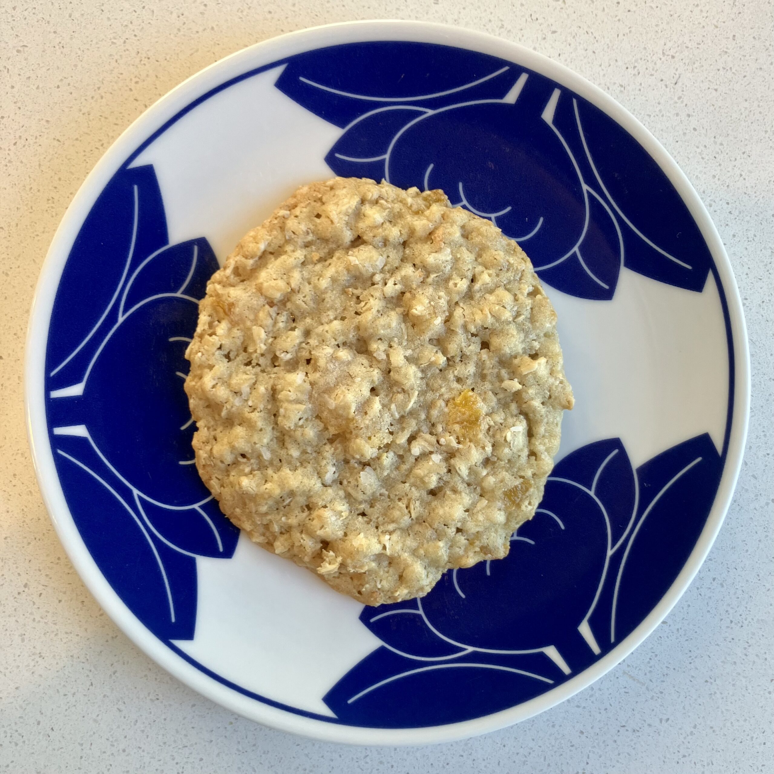 07 - Salty Oatmeal Apricot Cookie